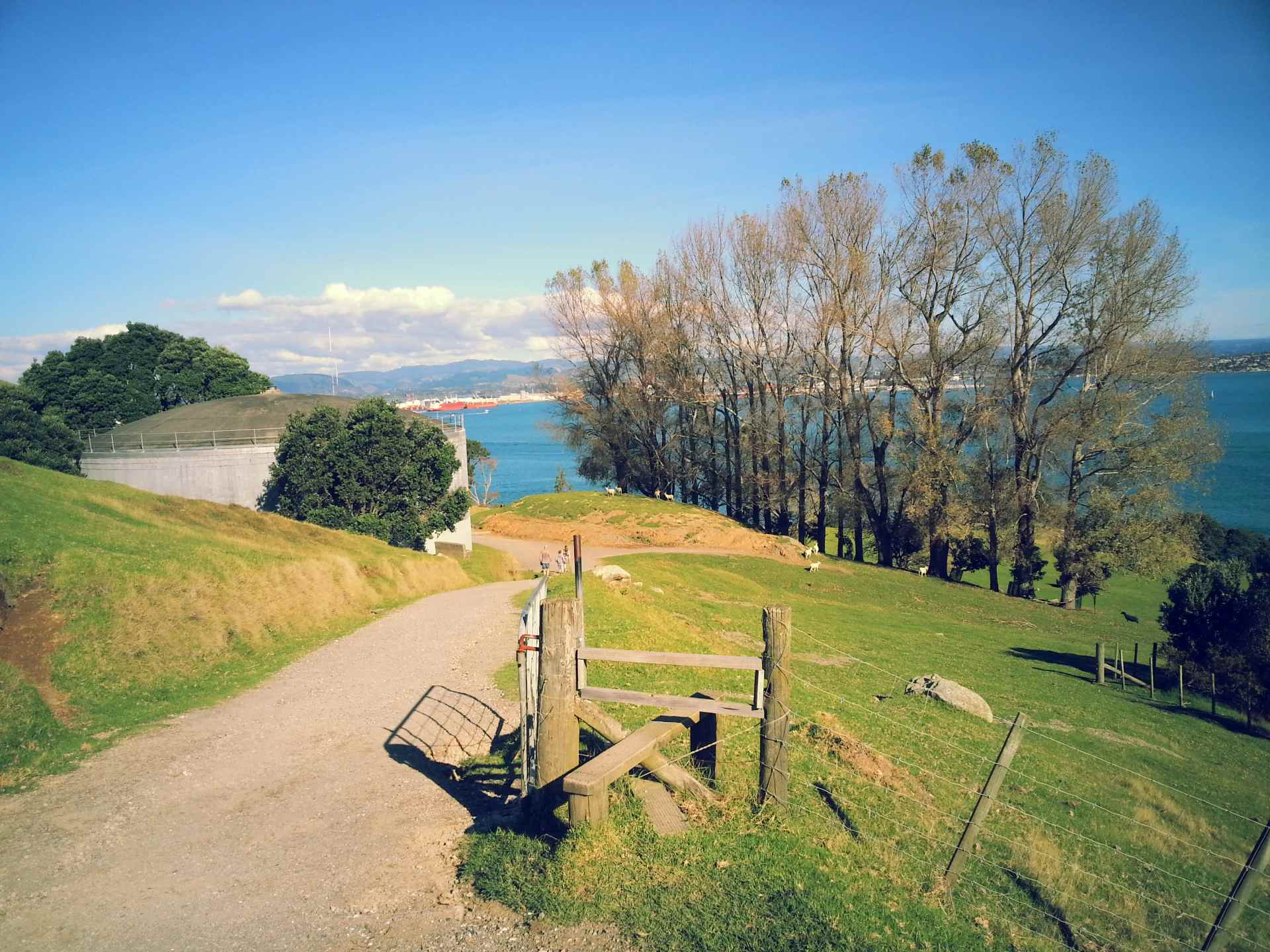 travel in Bay of Plenty, Bluff hill is a must travel in Bay of Plenty, Bluff hill is a must