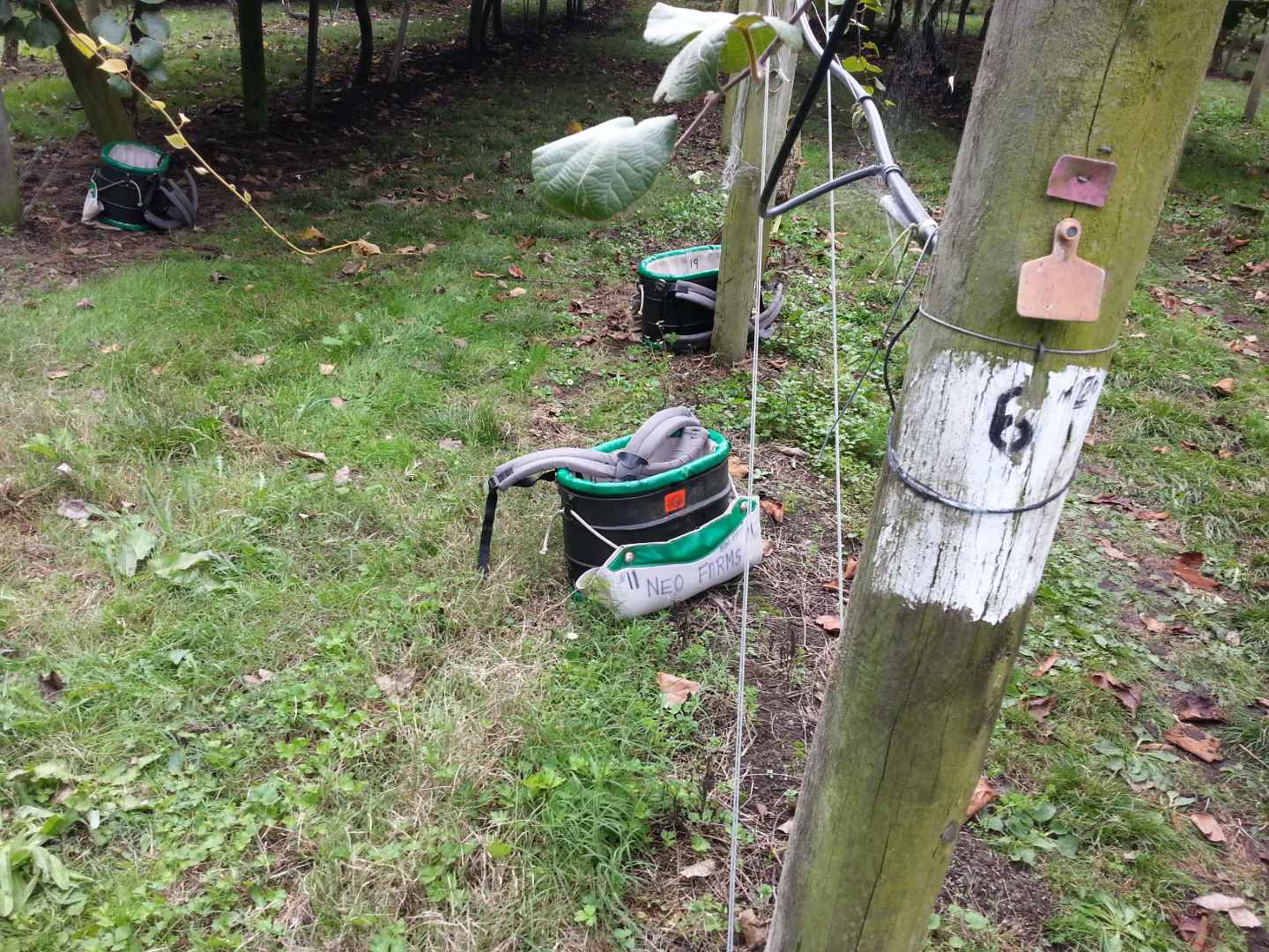20 kg Kiwi Bag Adding Kiwi Picking for Work and Travel plan